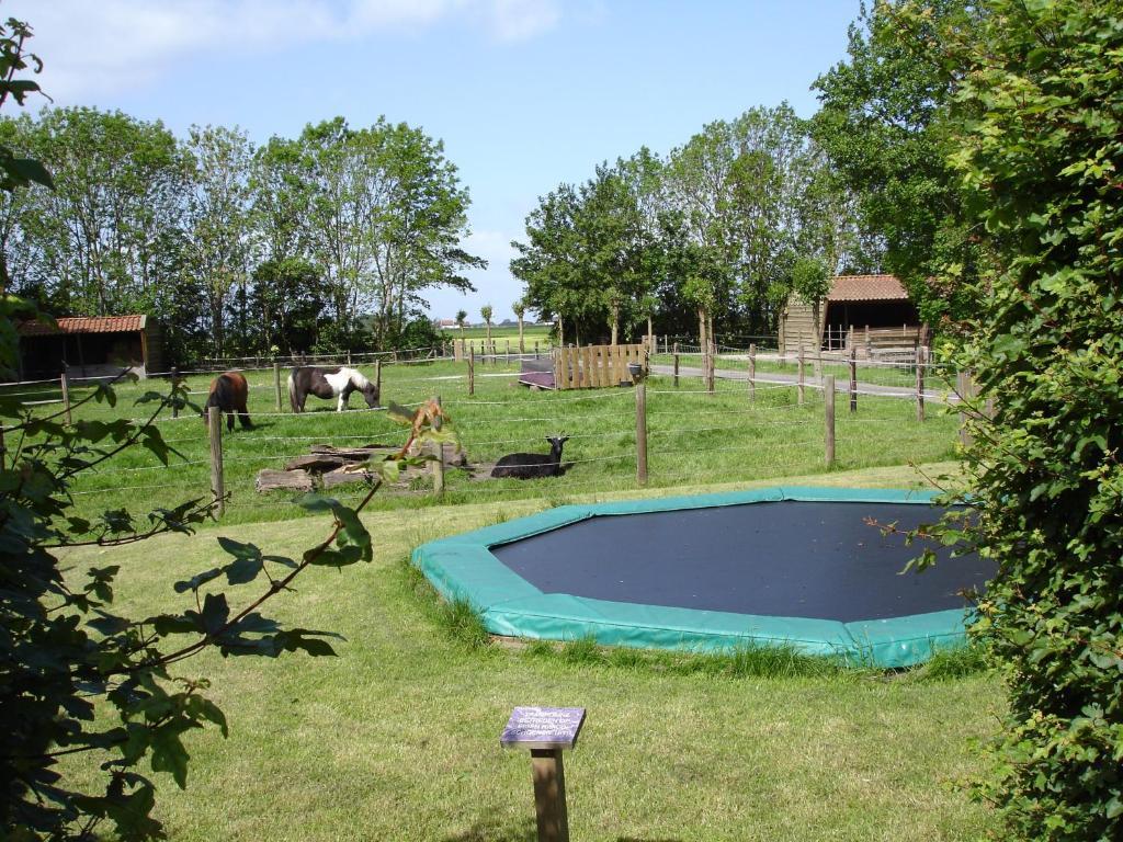 B&B En Vakantiehuisje Ursula Воркум Номер фото